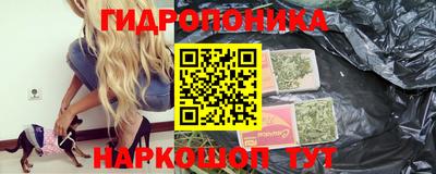 винт Можга