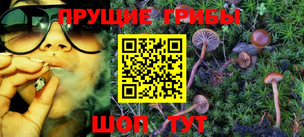 Хасавюрт  Галлюциногенные грибы Cubensis  Вход с VPN 