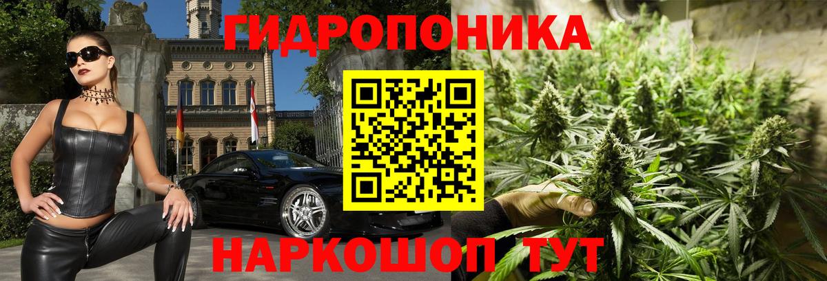 Конопля Bruce Banner  Бошки Шишки конопля  Хасавюрт  Вход с VPN  Конопля White Widow  Канабис гибрид 